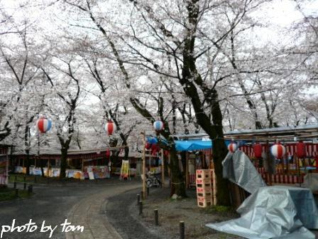 京を歩く～洛西「平野神社」  _b0155692_1749645.jpg