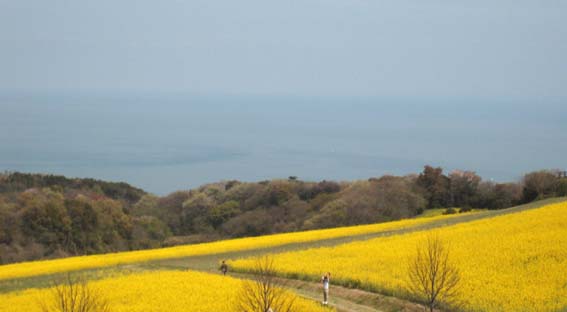 ぐるぐる淡路島_c0194992_34082.jpg