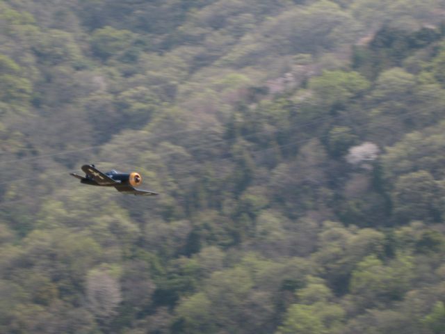 c0131695_922175.jpg