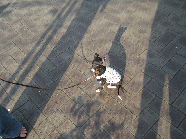 a0050302_3193138.jpg