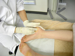 d0052404_223272.jpg