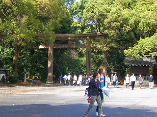 お茶会　　東京見物_a0092212_17562095.jpg