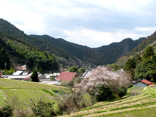 奈良1. 奧明日香 栢の森_e0048413_21103012.jpg