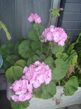 f0201014_16135477.jpg