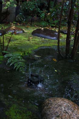 e0156015_19562910.jpg