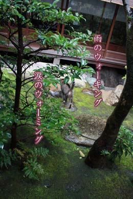 e0156015_2032114.jpg