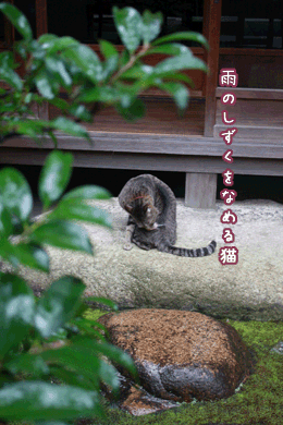 e0156015_2082636.gif