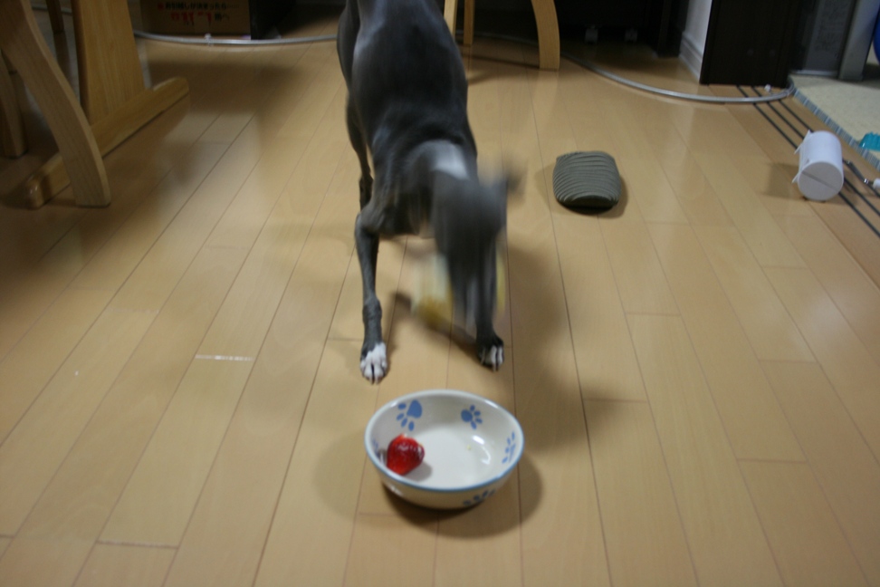 c0003217_11541395.jpg