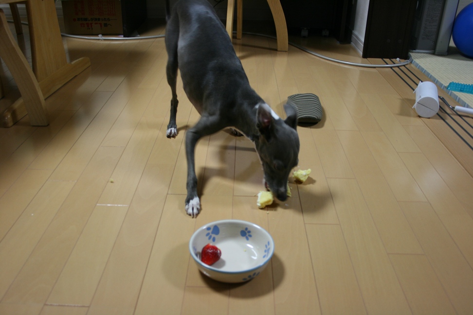 c0003217_11543014.jpg