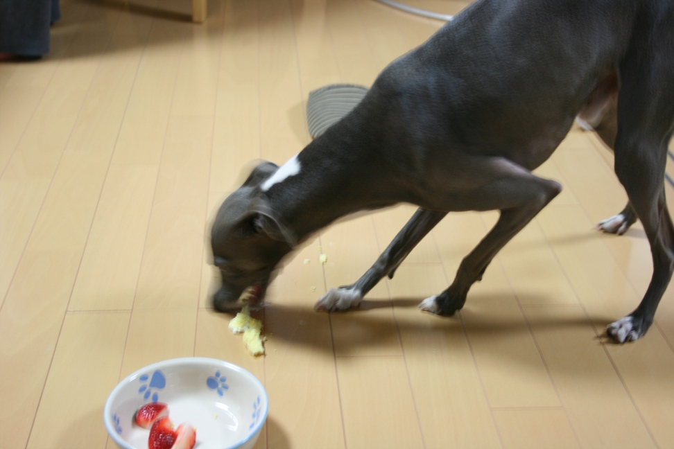 c0003217_11552023.jpg