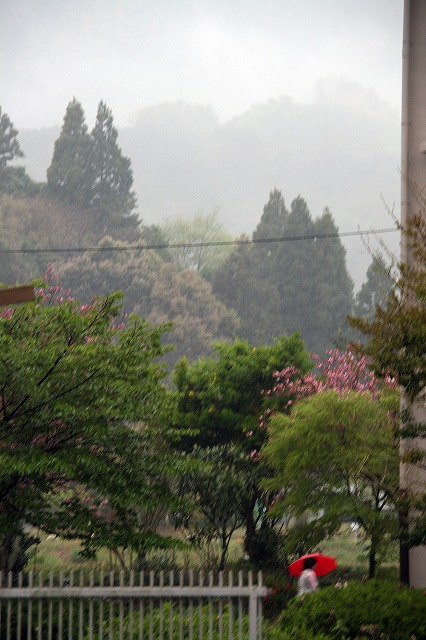 a0087818_9244718.jpg