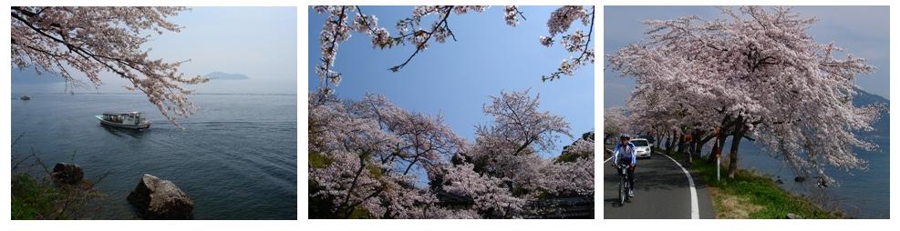 曇り空　カエルに鳥のさえずり　　朽木小川・気象台より_c0044819_837615.jpg