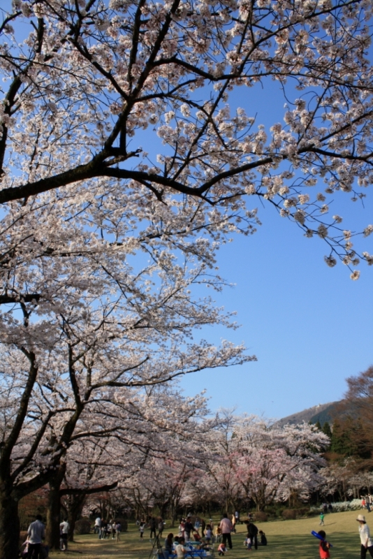 石川県林業試験場_e0123322_21244780.jpg