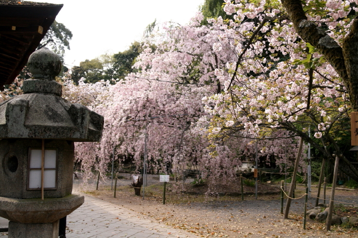 b0132924_0473635.jpg