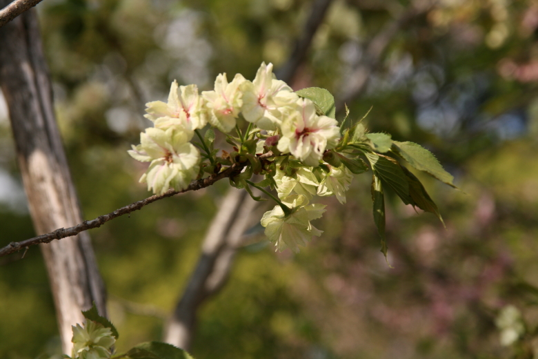 b0132924_0482655.jpg