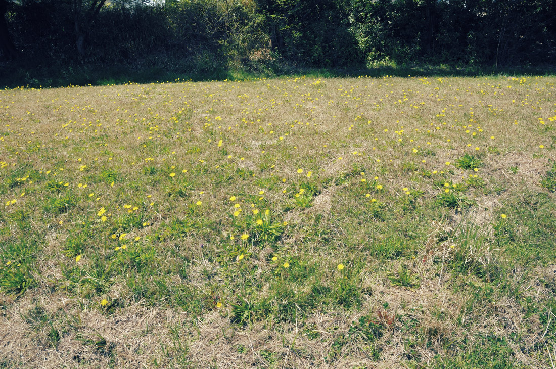 c0126428_21421222.jpg