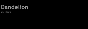 c0126428_21422287.jpg