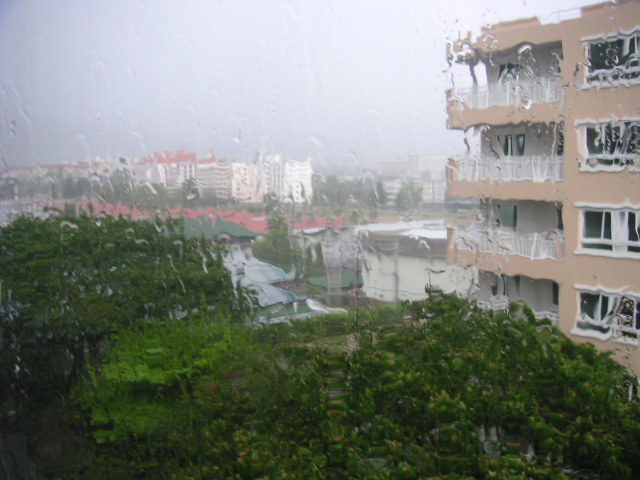 c0127933_924457.jpg