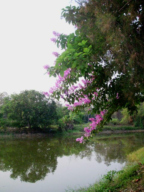 c0127933_930154.jpg