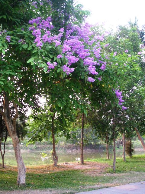 c0127933_9305589.jpg