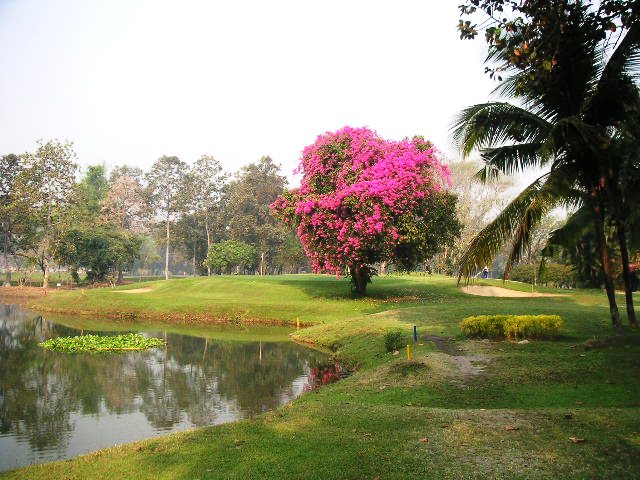 c0127933_9323092.jpg