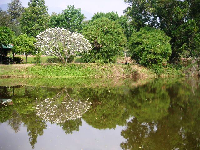 c0127933_9355183.jpg