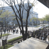 d0033734_10563197.gif