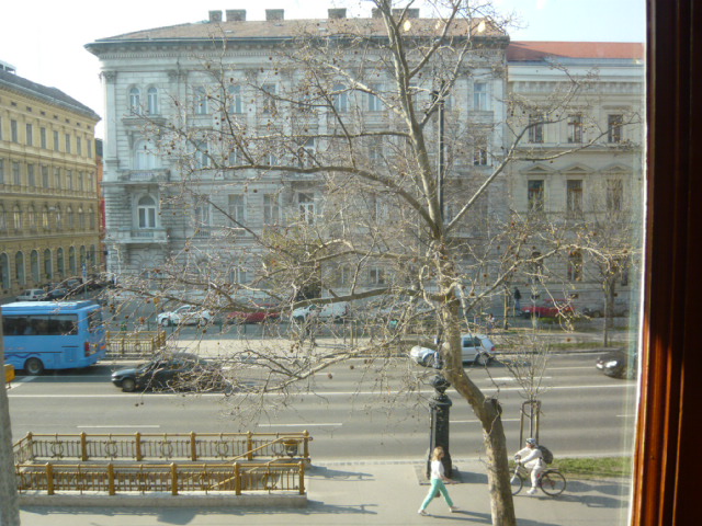 d0044239_15353740.jpg
