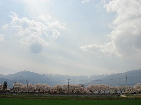 a0014840_836536.jpg