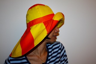 c0153740_3355563.jpg