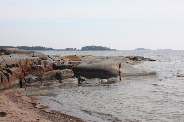 c0153740_3684.jpg