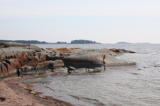 Hanko（ハンコ）と途中報告_c0153740_3684.jpg