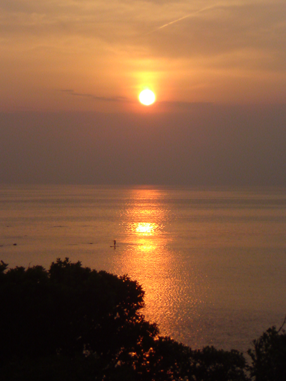 f0174244_22852.jpg