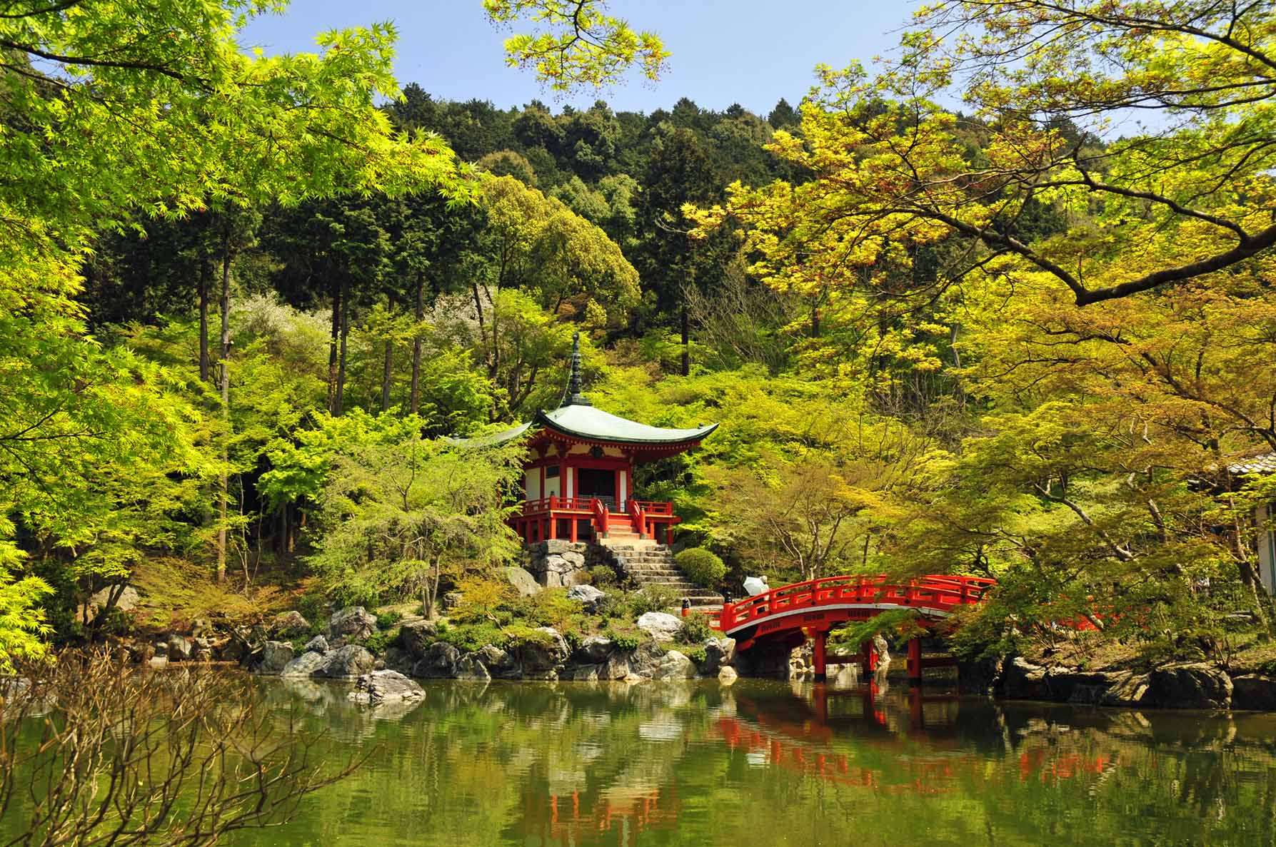 お気に入りのお寺 DAIGOの視線