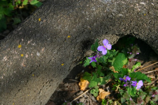e0126350_21291552.jpg