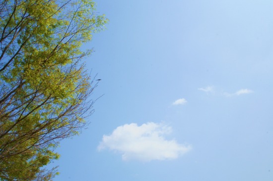 e0126350_21361344.jpg