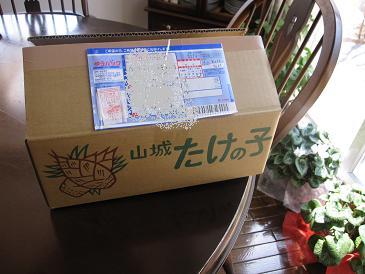 a0075455_9153239.jpg