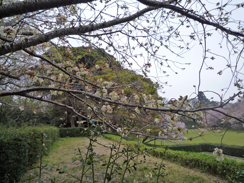 b0045357_8141937.jpg