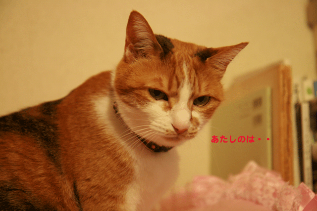 e0158561_22525923.gif