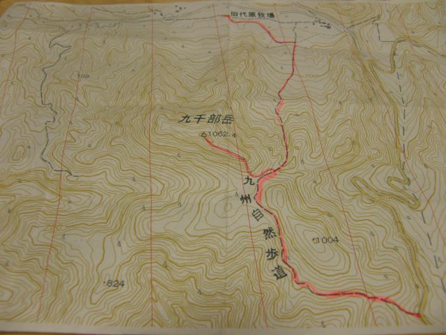 c0042869_93643.jpg