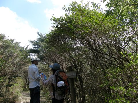 c0042869_96329.jpg