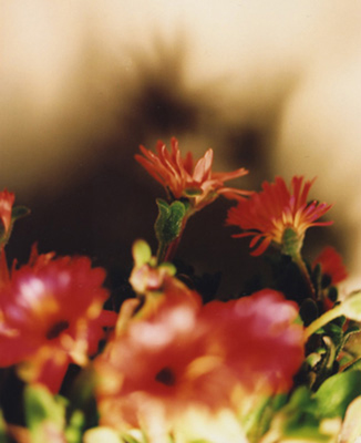 ヒロミックス 「早春、心の輝き」 : roshinbooks.blog ヒロミックス 「早春、心の輝き」 : roshinbooks.blog