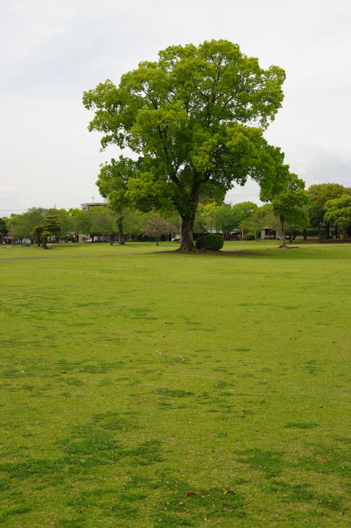 公園にて_f0141392_2124553.jpg