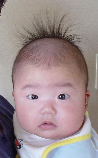 パイナップルヘアー Hey Hey ぼんぼん パイナップルヘアー Hey Hey ぼんぼん