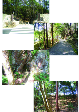 虎渓山永保寺から春をお届けします。_f0073301_17223091.jpg