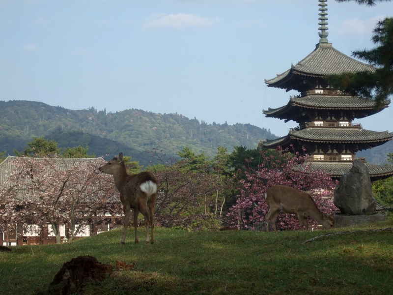 c0043403_22554443.jpg