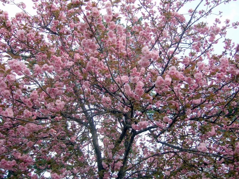 c0043403_22563757.jpg