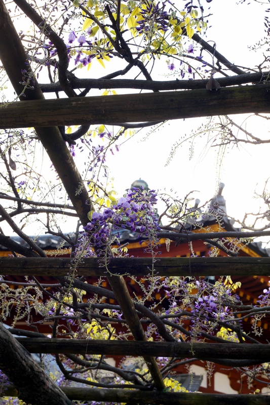 c0043403_233714.jpg
