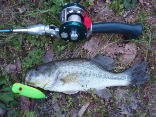 c0023804_10395520.jpg