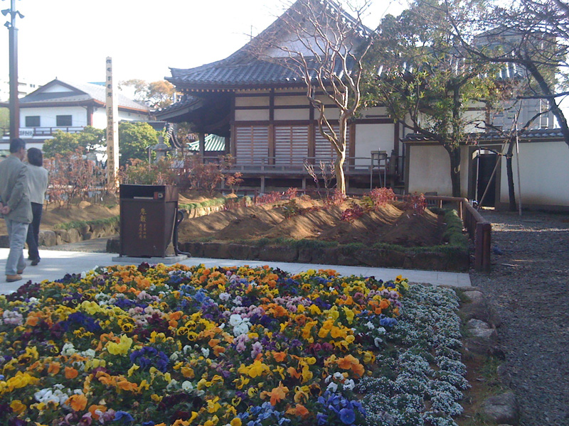 a0017909_2263860.jpg